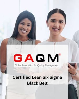 Certified Lean Six Sigma Black Belt