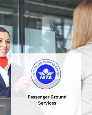 PASSENGER GROUND SERVICES