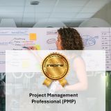 Project Management Professional PMP