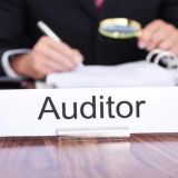 lead-auditor-1-1-1-1.jpg